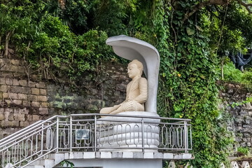 Wall Mural - Buddha statue on a mountain in Kandy against the background of a stone wall and plants in Sri Lanka