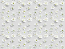 Elegant Floral Seamless Pattern In Small White Flowers On White Background