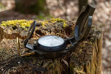 Compass in the forest on a stump in the sunlight