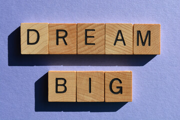 Wall Mural - Dream Big, words in wooden alphabet letters