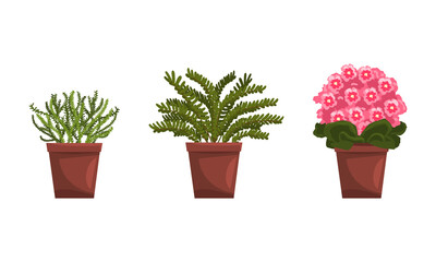 Sticker - House Plants Set, Green Succulent and Blooming Plants for Interior Decoration Flat Vector Illustration