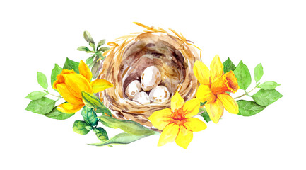 Wall Mural - Bird eggs in nest with yellow narcissus flowers and green spring leaves. Watercolor card, illustration for Easter