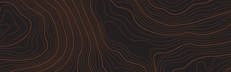 Wall Mural - the stylized height of the topographic contour map in lines and contours. the concept of a condition