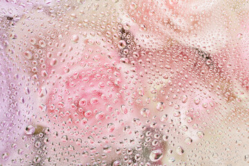 Fotomurales - beautiful pink rose flowers through the glass with waterdrops background