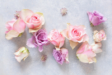 Fotomurales - beautiful pink rose flowers background