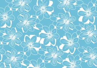  White flowers pattern on sky blue background