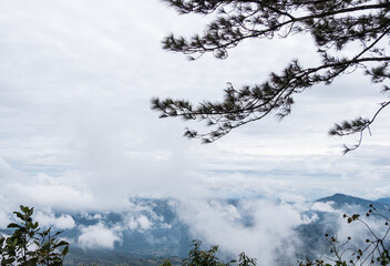 View from the top of a high mountain with the covering by the puffy cloud in the valley.