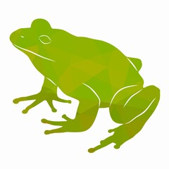 illustration of a frog , vector drawing