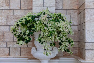 Fresh flowers in white pots are decorated outside the building