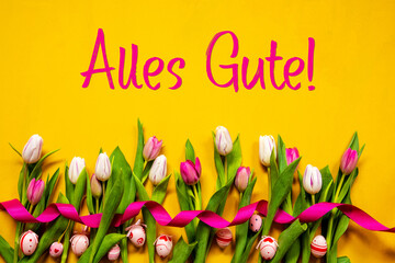  German Text Alles Gute Means Best Wishes. White And Pink Tulip Spring Flowers With Ribbon And Easter Egg Decoration. Yellow Wooden Background