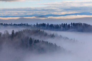  fog in the forest in the mountains, Bieszczady