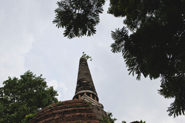 AYUTTHAYA, THAILAND - MAY 25, 2018: Ayutthaya Historical Park in Ayutthaya (second capital of the Siamese Kingdom). A very popular destination for day trips from Bangkok. 