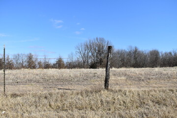 Poster - Fence Row by a Field