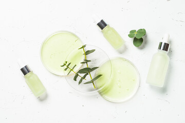 Fototapete - Essential oil, eucalyptus oil . Glass petri dish with essential oil at white background. Cosmetic laboratory conept.
