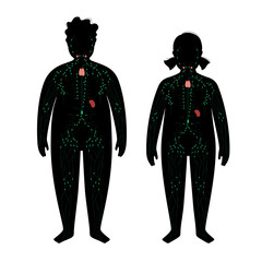 Wall Mural - Lymphatic system in obese body