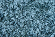 © Razbitnov - Icy snow texture blue pattern background, top view