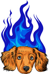 Wall Mural - puppy Dog with Flame ornaments vector illustration