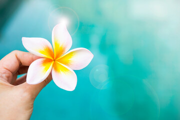 Beautiful plumeria flower in girl hand ove blurred blue water background, spring and summer season concept, tropical style