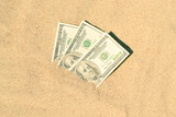 Fototapeta  - Money dolars half covered with sand lie on beach close-up.