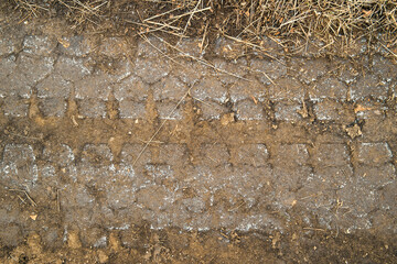 Wall Mural - Wheel tracks on the soil. Tire tracks on the ground. Soil texture background. Ground. Soil closeup and high detail. Ground surface. Late fall. Autumn