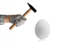 Hand Hold Hammer And Batter White Chicken Egg