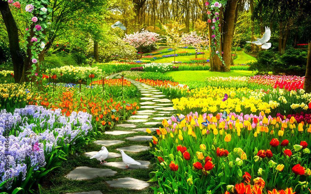 garden of colorful flowers with birds - obrazy, fototapety, plakaty 