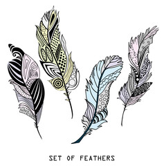  Feathers. Pastel colors. Design Zentangle. Hand drawn feathers with abstract patterns on isolation background. Design for spiritual relaxation for adults. Print for polygraphy and textiles. Zen art