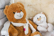 Plush Stuffed Animals – Teddy Bear and Cat