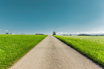 Canvas Print - Weg auf einer Grünen Wiese