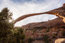 Landscape Arch With Sunburst Through Tree, Arches National Park, Utah, United States Of America, North America