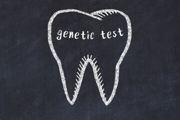 Wall Mural - Chalk drawing of a tooth with medical term genetic test. Concept of learning stomatology