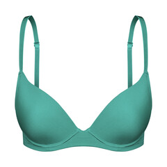 Canvas Print - Turquoise bra s lingerie invisible mannequin effect isolated