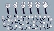 © WinWin - Cartoon hands. Comic arms with four and five fingers in white glove with various gestures, cartoon character body parts. Isolated vector set. Gesture hand finger count, thumb gesturing illustration