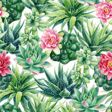 Seamless Pattern With Succulents. Watercolor Botanical Illustration, Background Succulents, Haworthia, Cacti, Echeveria