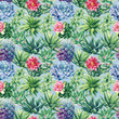 Seamless pattern with succulents. Watercolor botanical illustration, background succulents, haworthia, cacti, echeveria