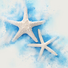 Watercolor Style Image Of Nautical Concept With Starfish