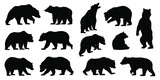 Fototapeta  - various bear silhouettes on the white background