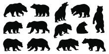 Various Bear Silhouettes On The White Background