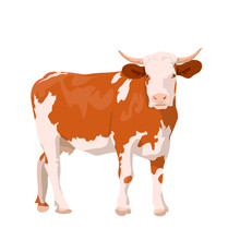Realistic Ginger Brown Cow. Dairy Cattle. Swiss Brown, Ayrshire, Holstein, Milking White And Brown Shorns, Guernsey And Jersey Cow. Beef