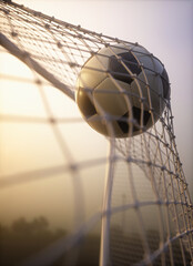 Soccer ball, scoring the goal and moving the net.