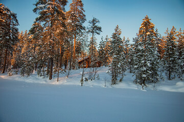 Winter landscape in a quiet Karelian forest.