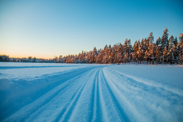 Wall Mural - Winter landscape in a quiet Karelian forest.