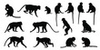 various macaque silhouettes on the white background