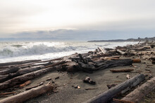 Lots Of Driftwood On The Beach At Coburg Peninsula In Colwood, British Columbia, Canada