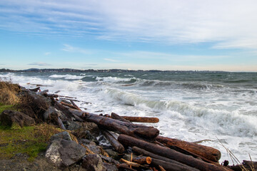 Wall Mural - Driftwood on the beach and big waves in the Salish Sea at Coburg Peninsual near Victoria, British Columbia, Canada