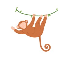 Cute Baby Monkey Hanging On Tree Branch, Swinging And Waving With Paw. Colored Flat Vector Illustration Of Smiling And Playing Animal Character Isolated On White Background
