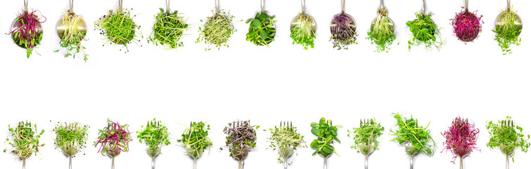 Collage of different microgreens on a white background. Selective focus.