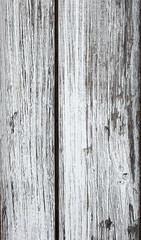 Wall Mural - Old white painted exfoliate shabby bright light wooden texture. Peeling white paint wood boards.	