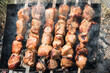 © Светлана Высокос - Grilled meat on the fire. Picnic in nature