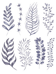 Naklejka na meble Monochrome floral collection. Elegant watercolor herbs.